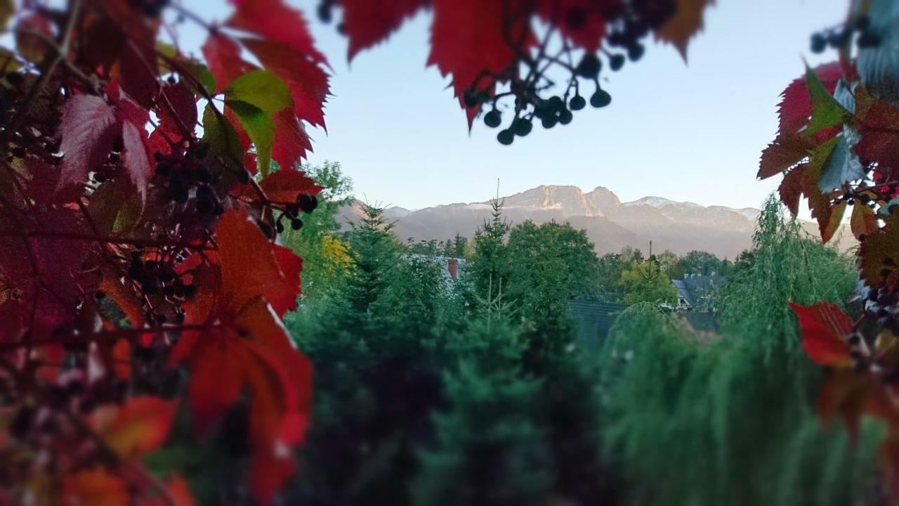 Mountain View Apartment 자코파네 외부 사진
