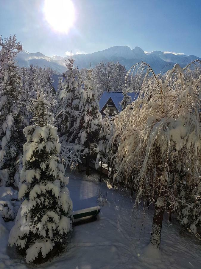 Mountain View Apartment 자코파네 외부 사진