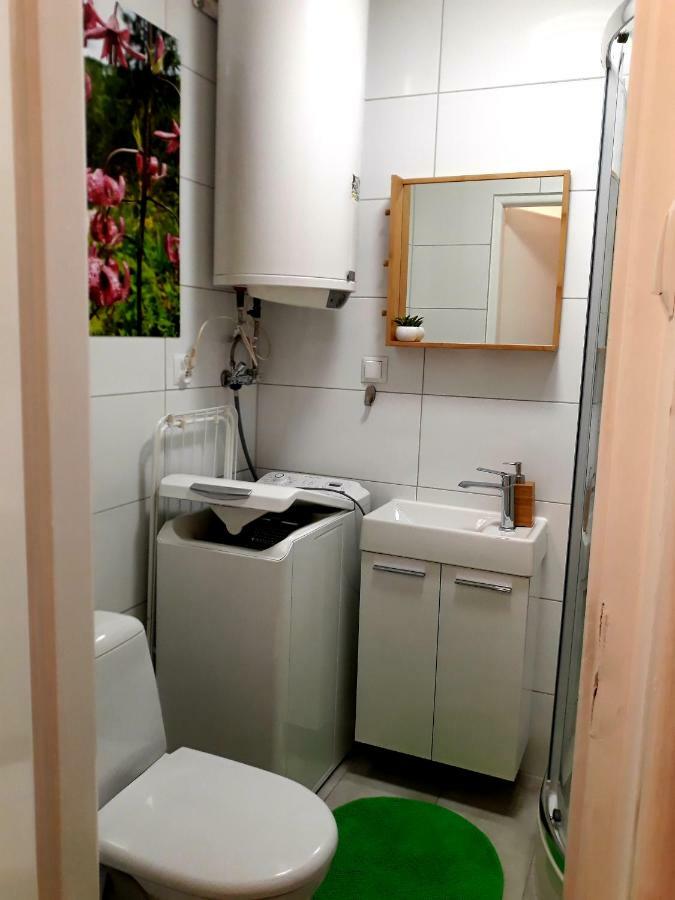 Mountain View Apartment 자코파네 외부 사진